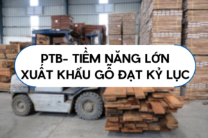 TIỀM NĂNG PTB GỖ PHÚ TÀI