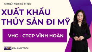 cổ phiếu VHC 2025