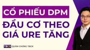 co-phieu-dpm-2025-tang-truong-hay-chi-la-dau-co