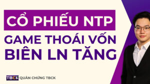 Nhận định Cổ phiếu NTP 2025: Tiềm năng thoái vốn và giá hạt nhựa phá đáy