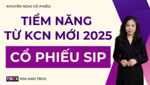 cổ phiếu SIP 2025